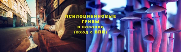 соль ск Карталы