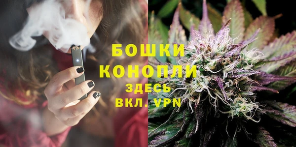 круглые Карпинск